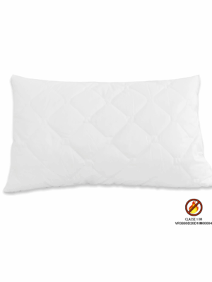 guanciale -ignifugo-nuvola